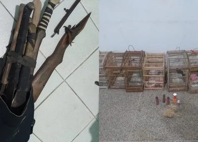 PM encontrou armas utilizadas no crime e gaiolas na residência do acusado