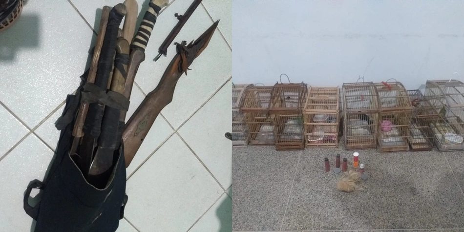 PM encontrou armas utilizadas no crime e gaiolas na residência do acusado