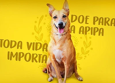 Pôster de doações para Apipa