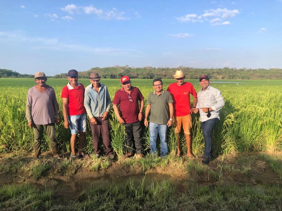 Prefeito Genival Bezerra visita campo de produção de arroz