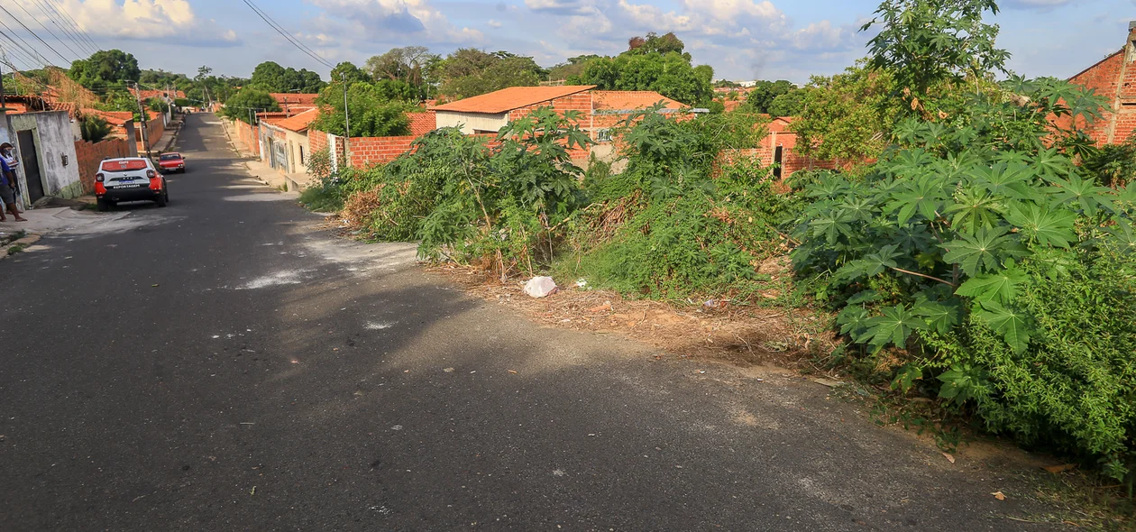 Terreno abandonado na Rua Lajeiro