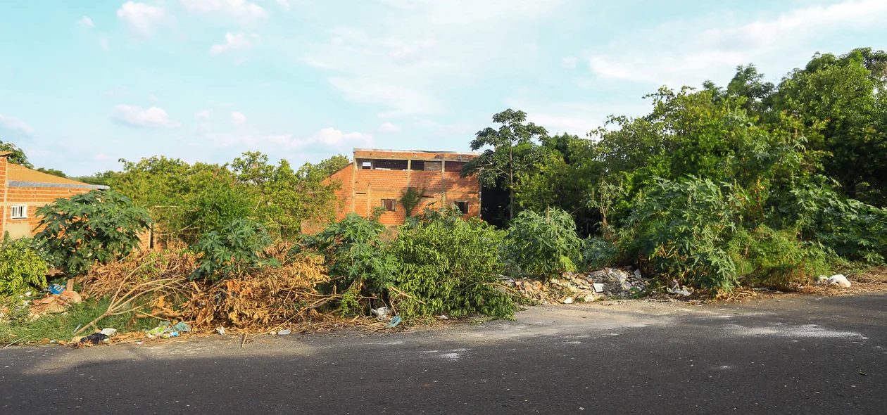 Terreno abandonado