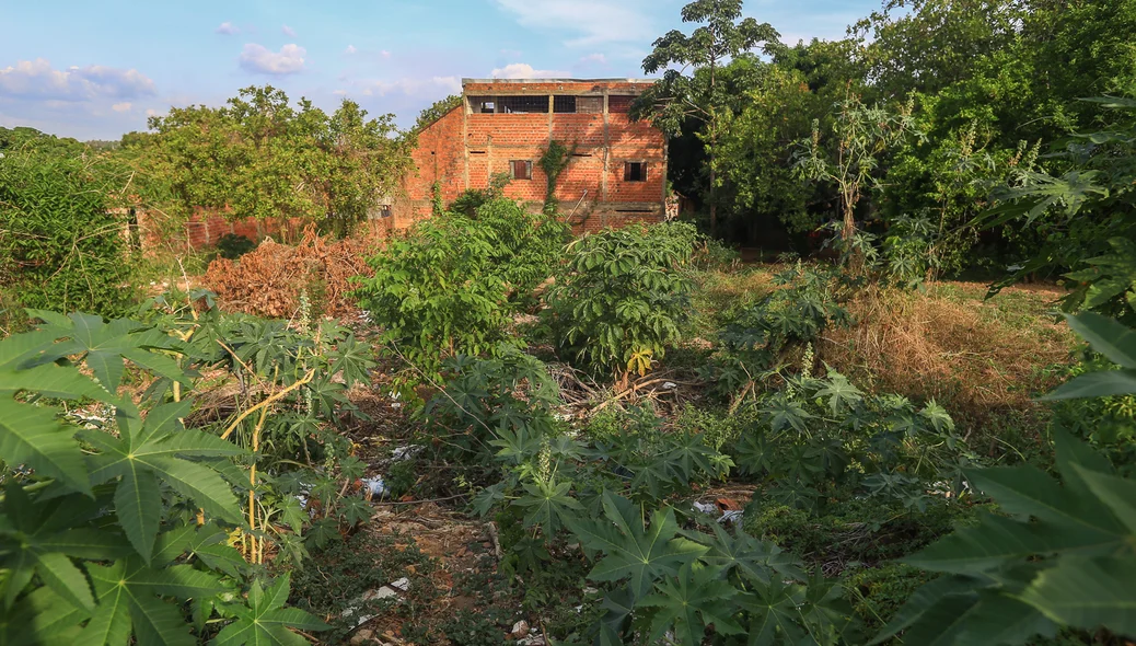 Terreno fica localizado no bairro Pedra Mole