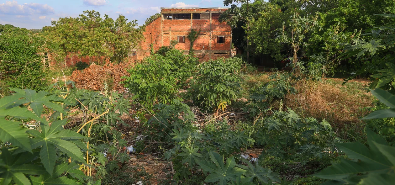 Terreno fica localizado no bairro Pedra Mole