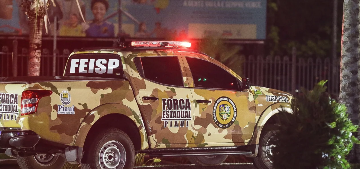 Viatura da Força Estadual