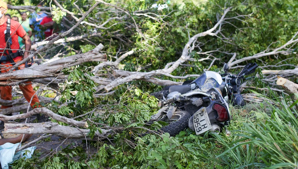 A árvore caiu em cima do motociclista