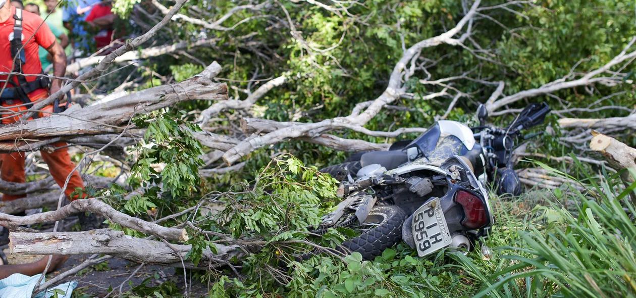 A árvore caiu em cima do motociclista