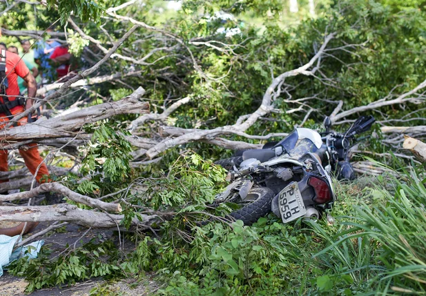 A árvore caiu em cima do motociclista