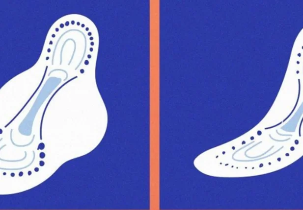 Absorventes