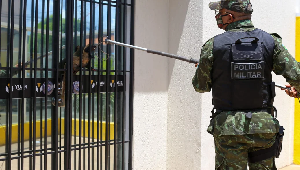 Batalhão de Polícia Ambiental fez o procedimento com segurança