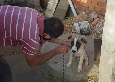 Cachorro sendo resgatado