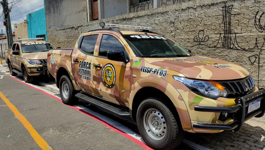 Força Estadual