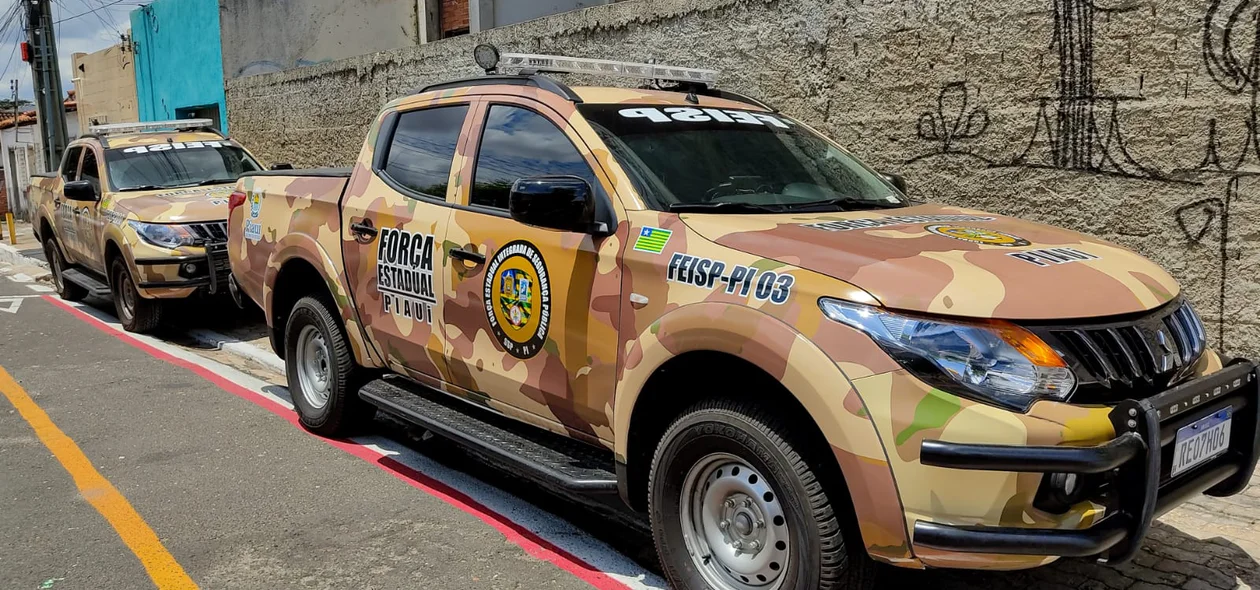 Força Estadual