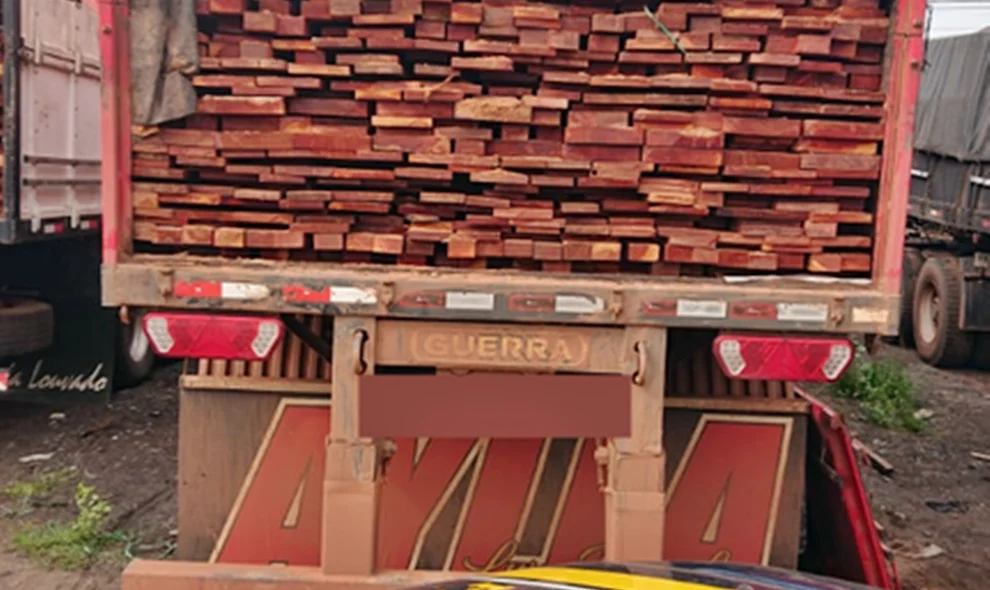 madeira nativa transportada ilegalmente na BR 010 no MA