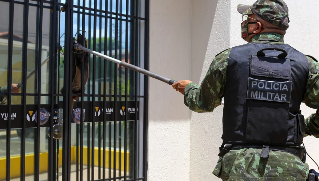 Batalhão da Polícia Ambiental foi acionado para resgatar o Furão