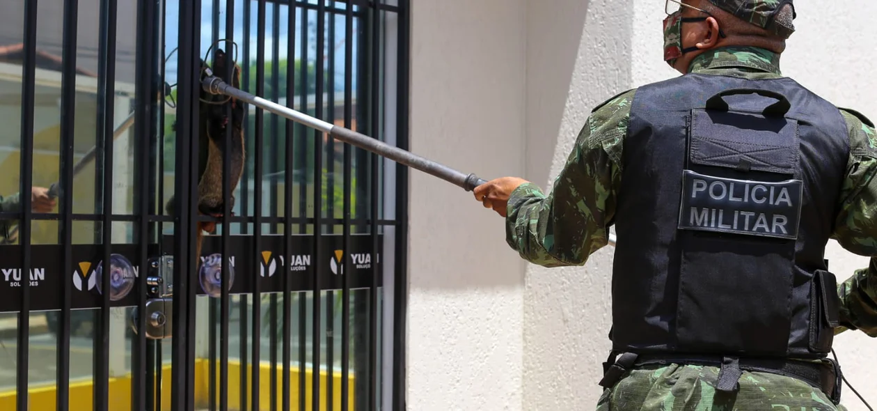 Batalhão da Polícia Ambiental foi acionado para resgatar o Furão