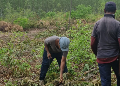 MPT resgata trabalhadores em situação análoga à escravidão no Piauí