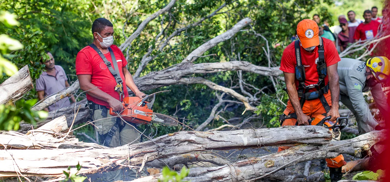 Os bombeiros tiveram que cortar a arvore