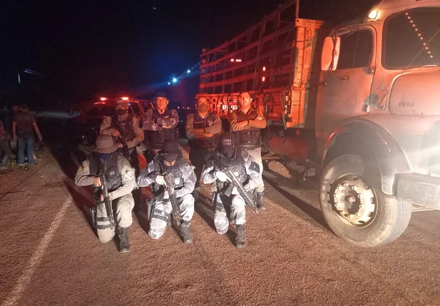 PM recupera 37 cabeças de gado roubadas de fazenda no Sul do Piauí