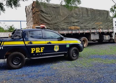 PRF realiza fiscalização em veículos de carga e apreende carregamento de madeira ilegal na BR 343 em Piripiri
