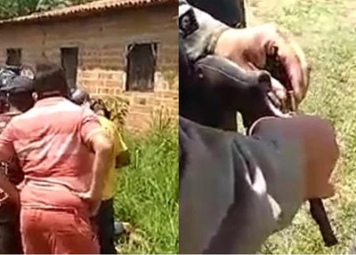 Segurança reage a assalto e mata bandido em Altos