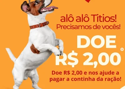 Apapi pede ajuda da população, nesta quinta-feira (23), para manter os cuidados médicos e a alimentação dos animais em Picos