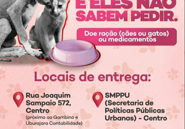 Campanha "A fome dói e eles não sabem pedir"