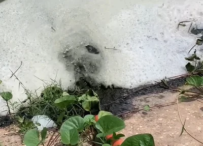 Chorume despejado na lagoa