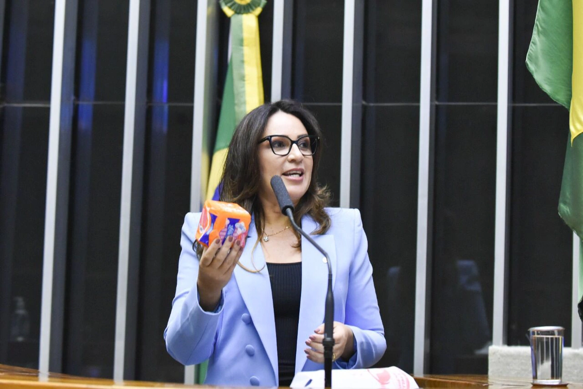 Deputada federal Rejane Dias/PT-PI