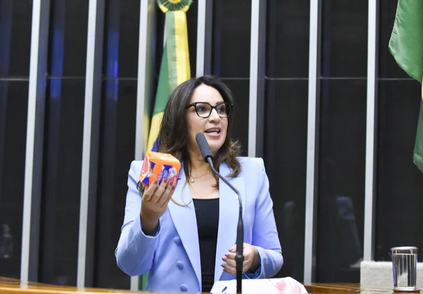 Deputada federal Rejane Dias/PT-PI
