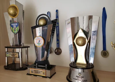 Fluminense foi campeão estadual na categoria sub-20, vice-campeão no profissional, campeão no sub-15 e vice na categoria sub-17.