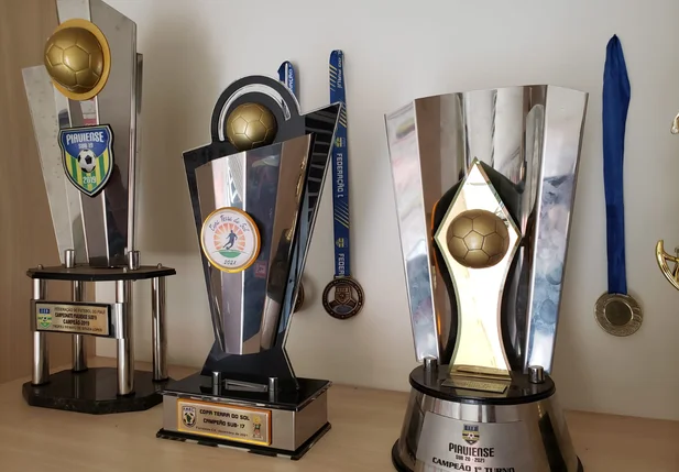 Fluminense foi campeão estadual na categoria sub-20, vice-campeão no profissional, campeão no sub-15 e vice na categoria sub-17.
