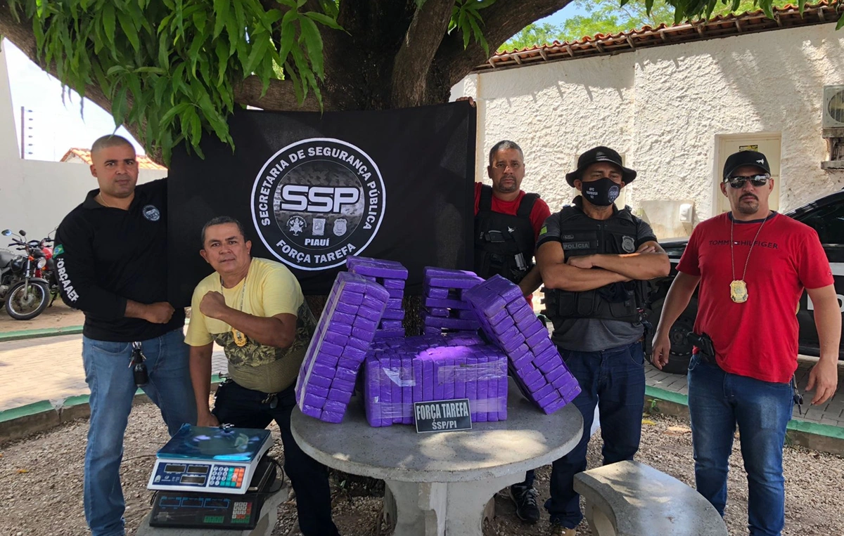 Força Tarefa apreende 150 tabletes de maconha na zona sul de Teresina
