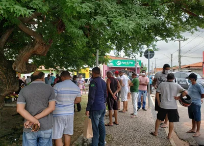 Homem morre após ser atacado por abelhas no bairro Dirceu II