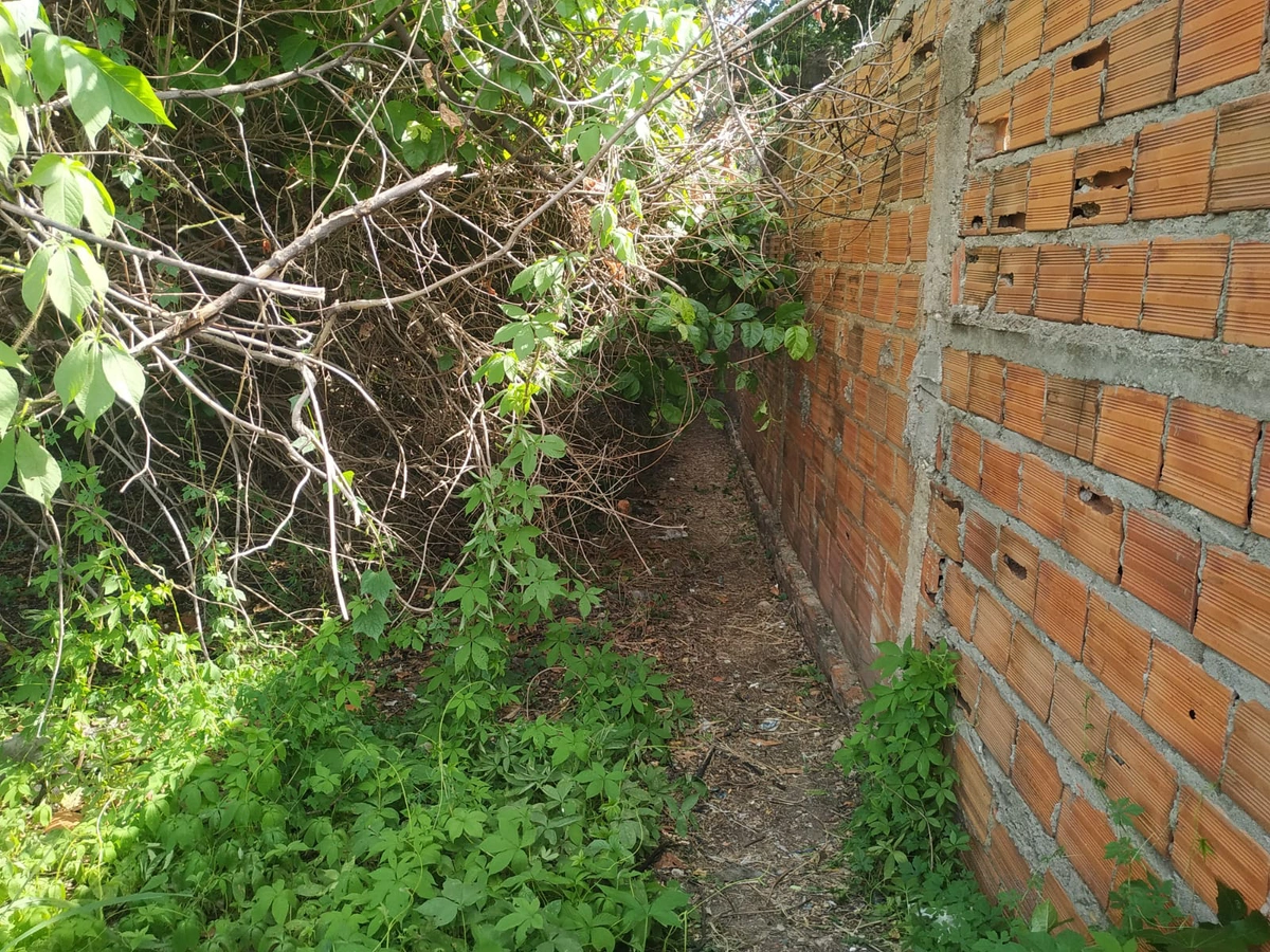 Local onde o rapaz foi morto