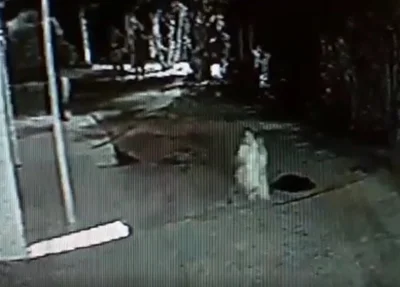 Menino de 8 anos é baleado em tiroteio na cidade de Parnaíba