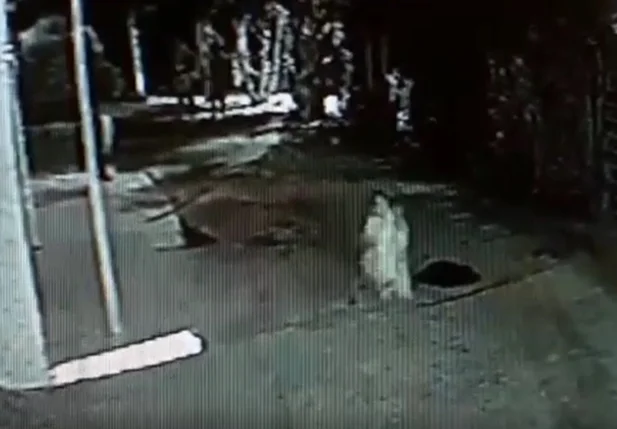 Menino de 8 anos é baleado em tiroteio na cidade de Parnaíba