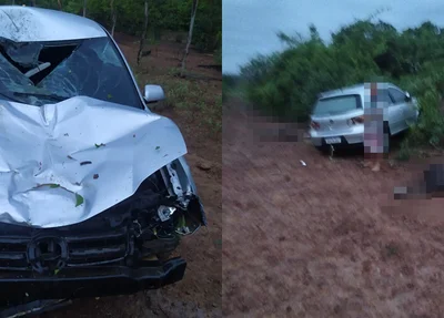 Motorista fica ferido após colidir em animais no Norte do Piauí
