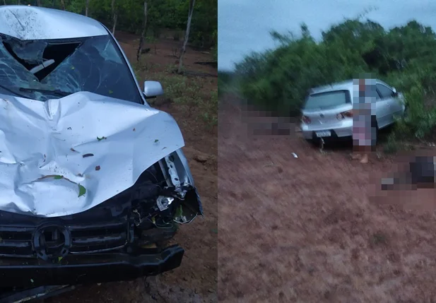 Motorista fica ferido após colidir em animais no Norte do Piauí