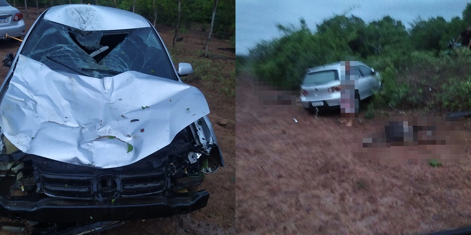 Motorista fica ferido após colidir em animais no Norte do Piauí