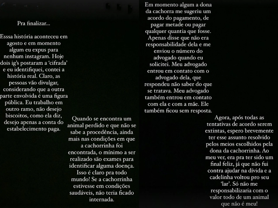 Pronunciamento de Suelky Lilyan no Instagram sobre o caso da cadelinha