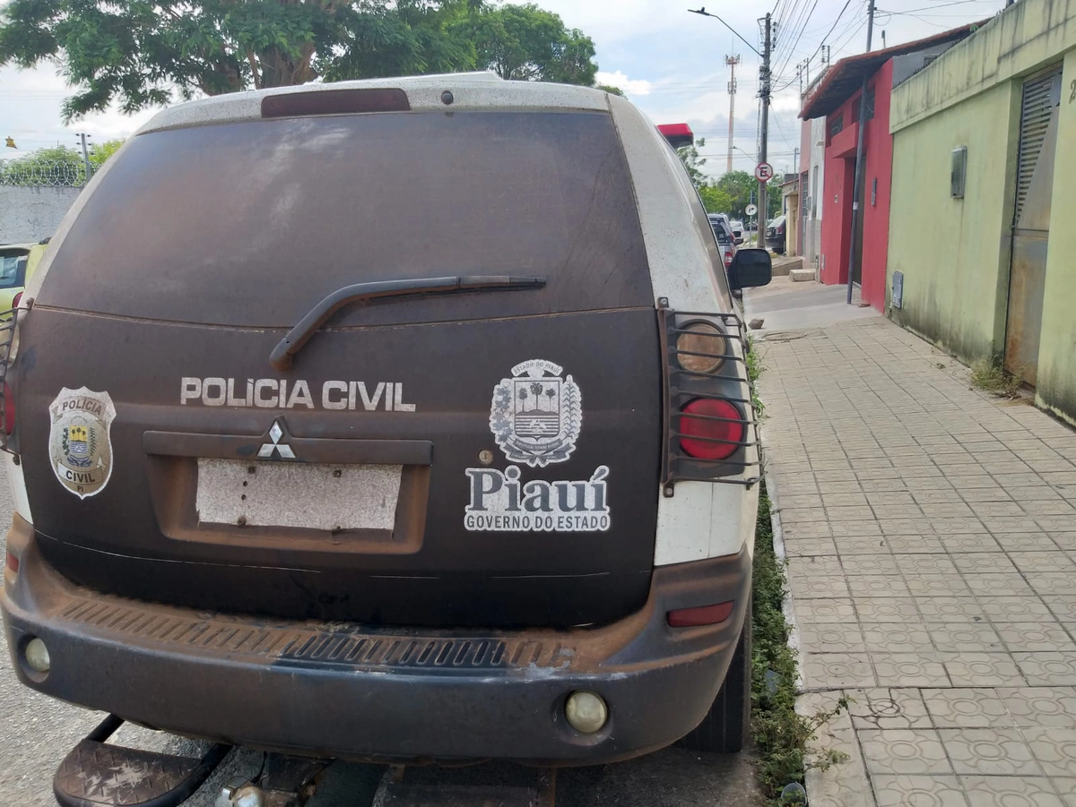 Viatura da Polícia Civil de Palmeirais