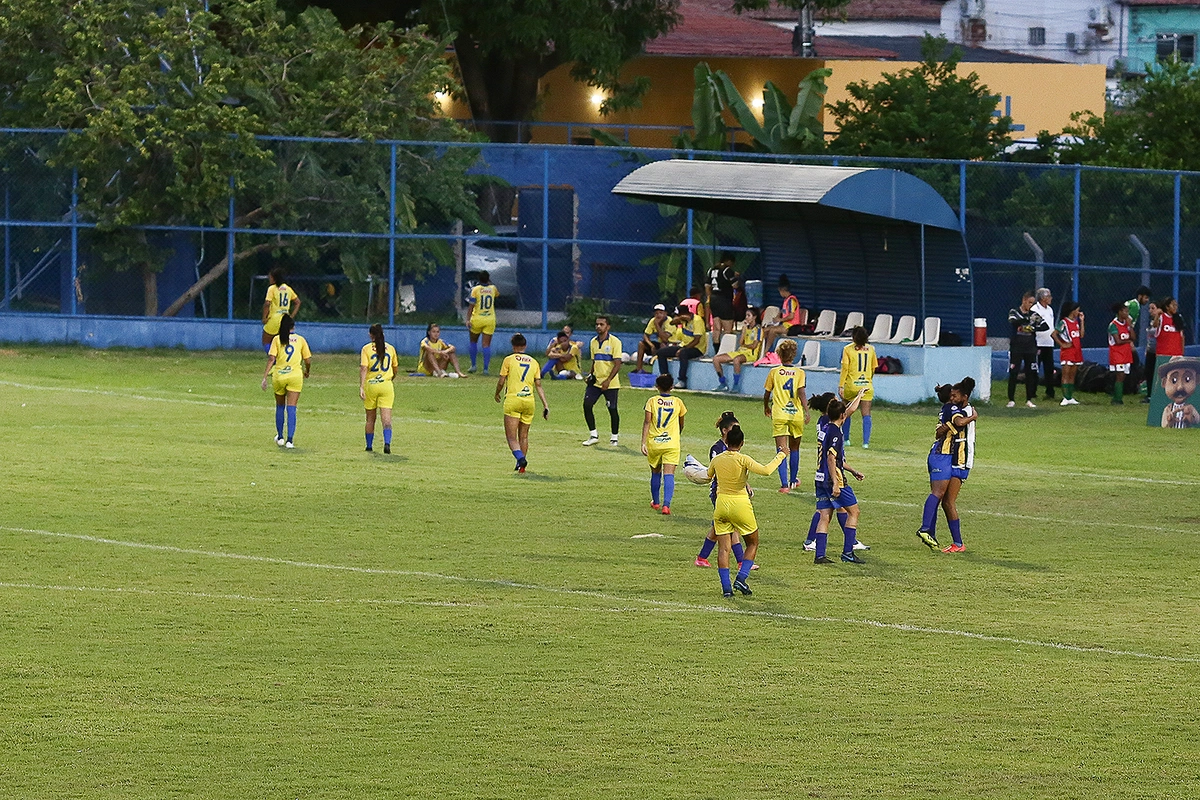Vitória das abelhas rainhas