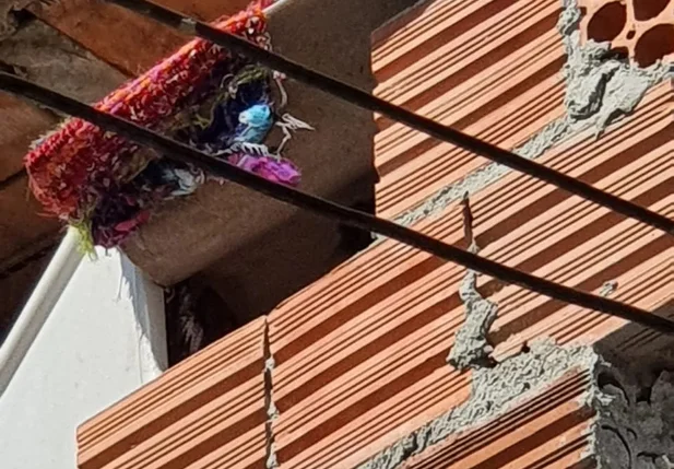 Local onde a criança ficava acorrentada