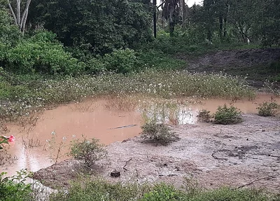 Local onde a vítima morreu