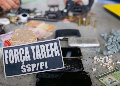 Material apreendido pela Força Tarefa