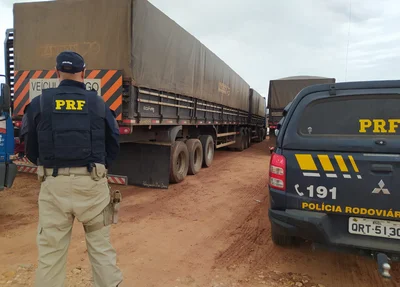 PRF apreende madeira ilegal no Piauí