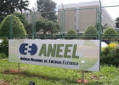 Aneel
