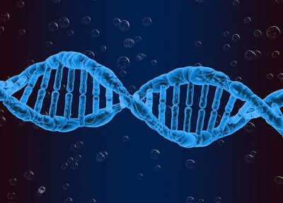DNA