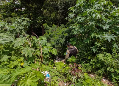 Local onde o corpo foi encontrado é de difícil acesso